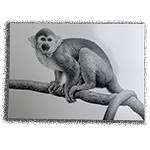 POSTCARD SQUIRREL MONKEY